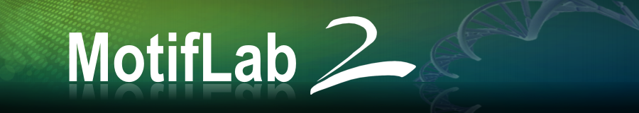 MotifLab